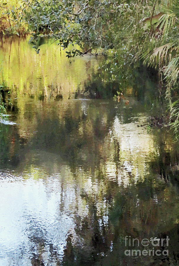 Wild Florida Reflections Photograph by Sharon Williams Eng