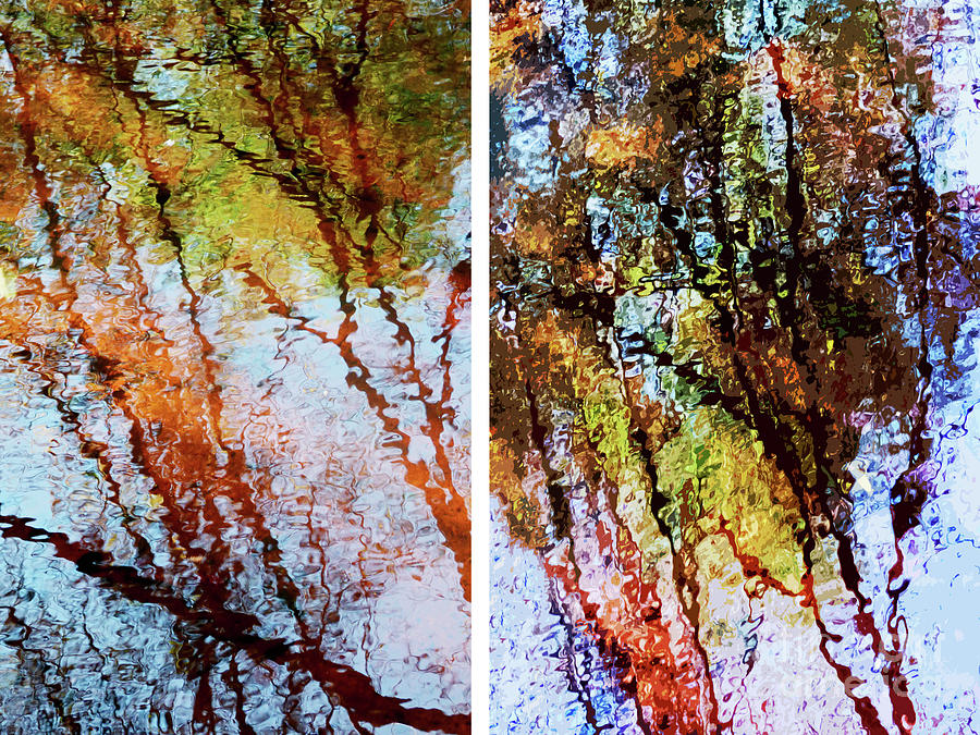 Wild Florida Winter Colors Diptych Painting by Sharon Williams Eng