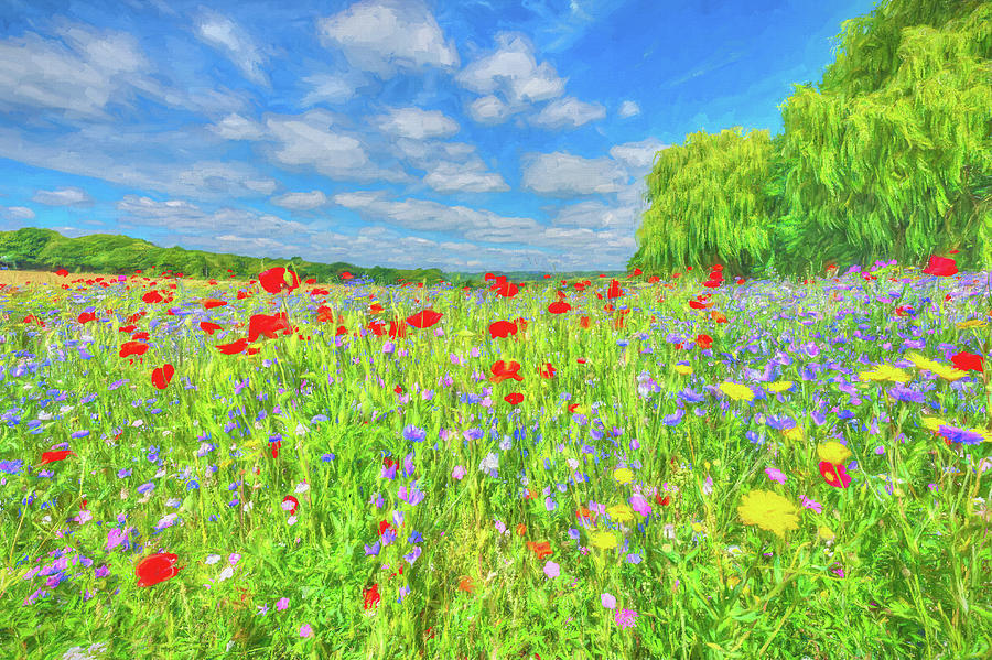 Wild Flower Meadow Digital Art by Roy Pedersen