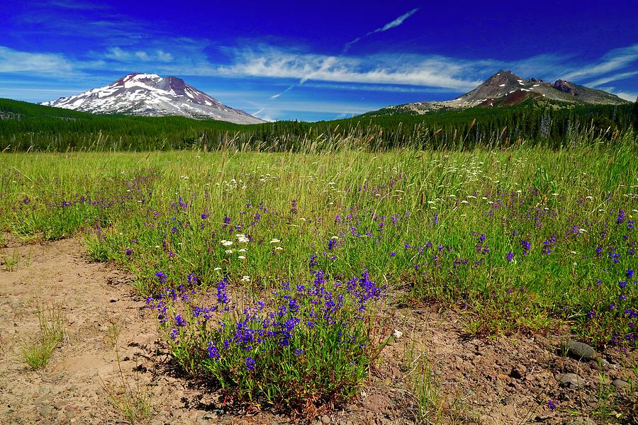 Wild Flowers in a meadow with Broken Top and South Sisters Mountains Photograph by Brent Bunch
