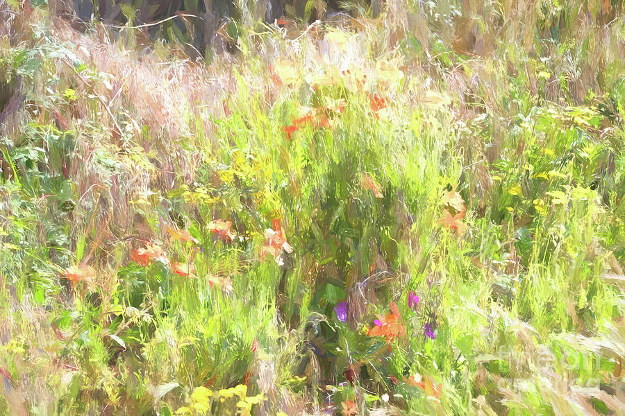 Wild Flowers Photograph