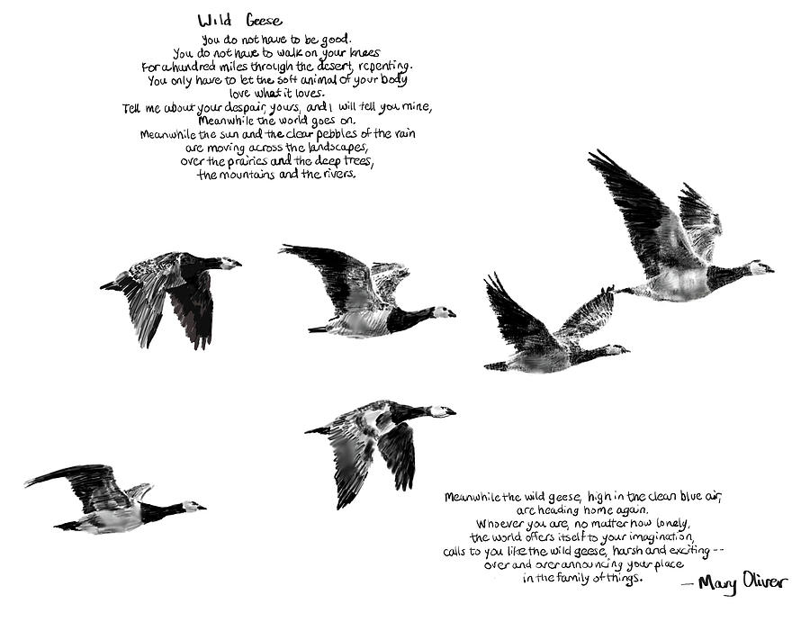geese inspirational poem