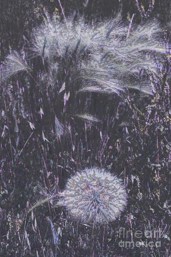 Wild Grass Digital Art