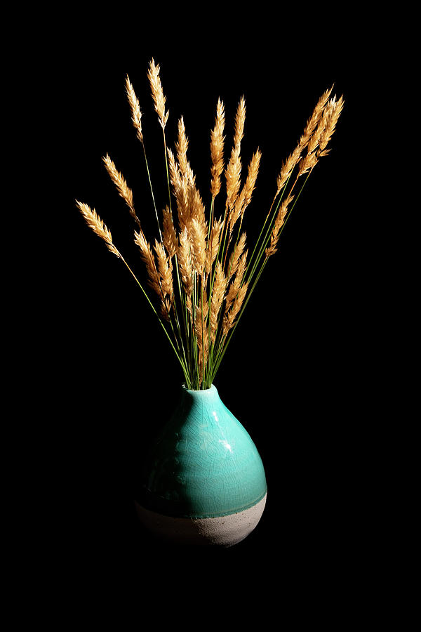 Wild Grasses in Teal Ceramic Vase Photograph by Charles Floyd