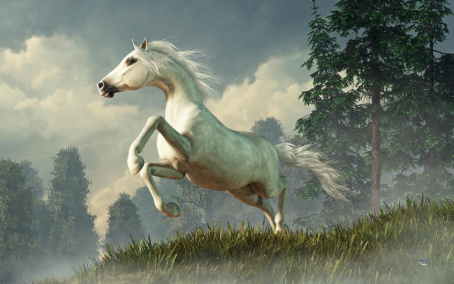 Wild Gray Horse Digital Art by Daniel Eskridge