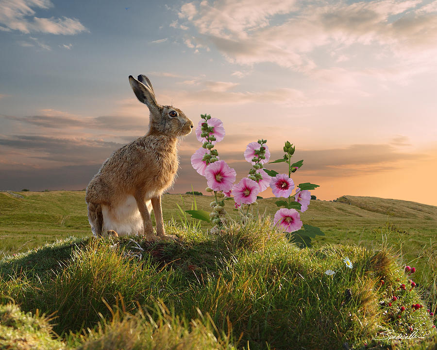 Wild Hare and Hollyhock Digital Art by Spadecaller