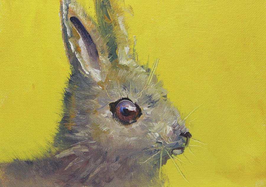 Wild Hare Painting by Nancy Merkle