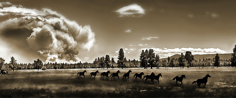 Wild Horse Fire, Sepia Photograph by Don Schimmel