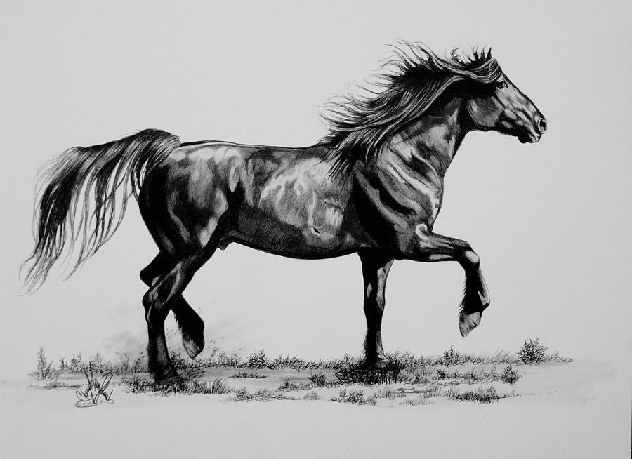 Wild Horse Gunner Drawing