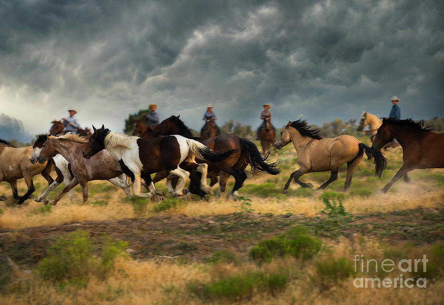 Wild Horse Run Photograph by Diane Diederich