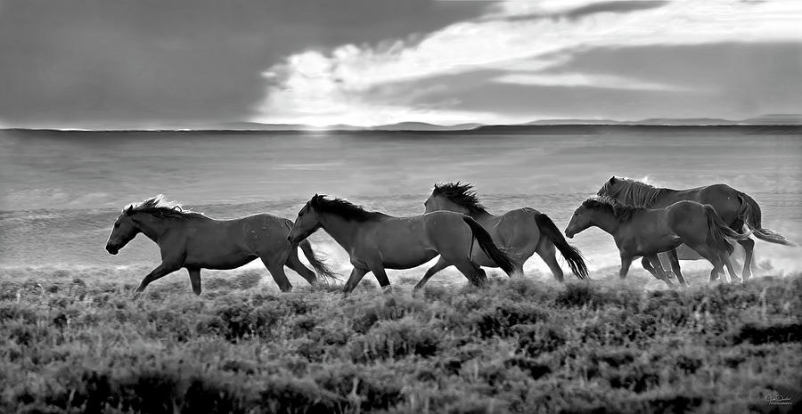 Wild Horses At Dusk II Photograph