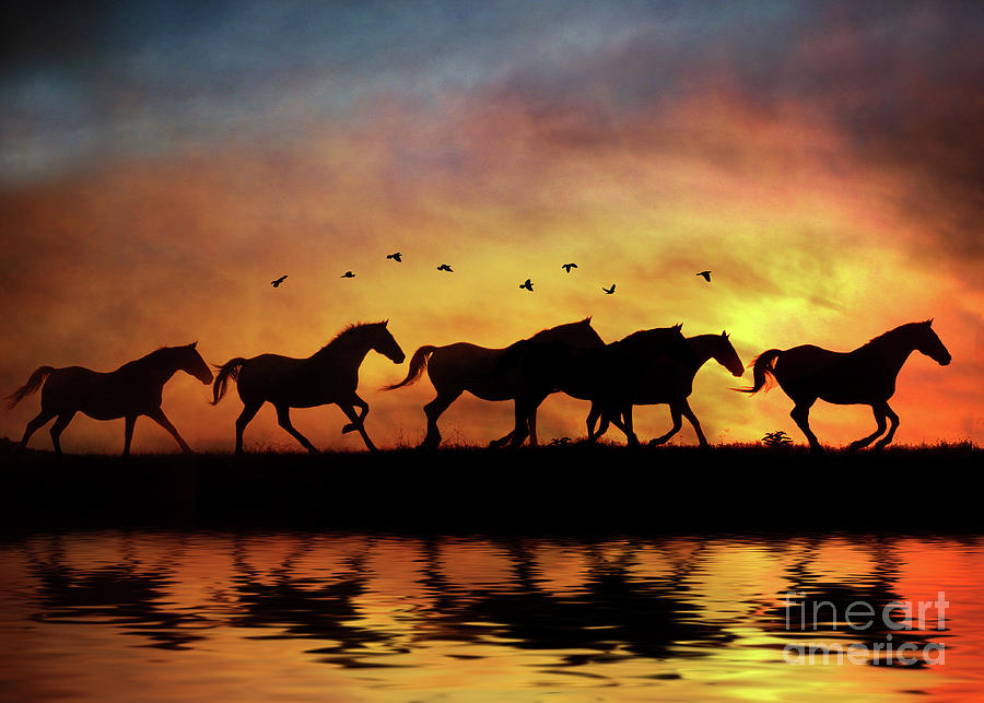 Wild Horses in Sunset and Water Photograph by Stephanie Laird