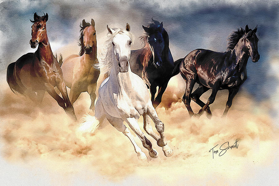 Wild Mustangs of Montana Digital Art by Tom Schmidt