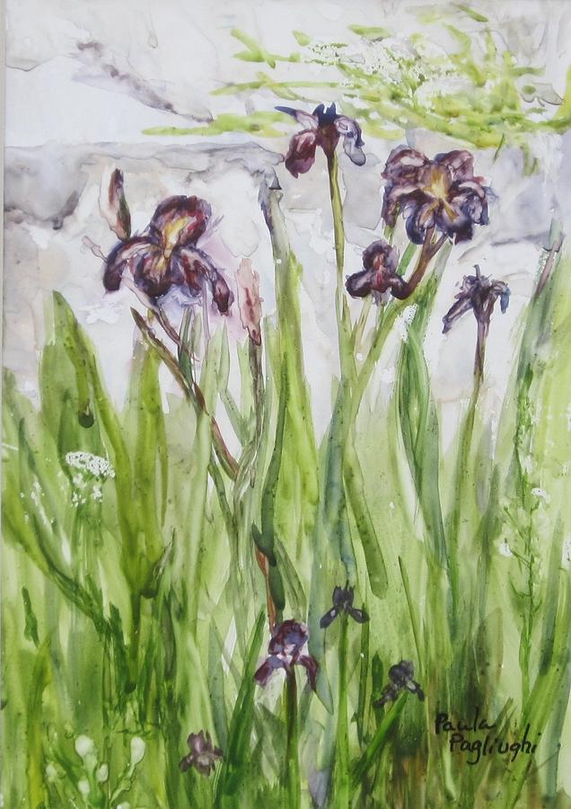 Wild Iris Painting by Paula Pagliughi
