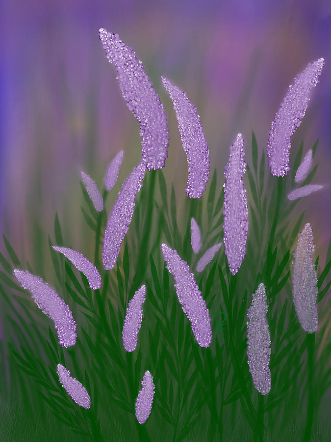 Wild Lavender Digital Art