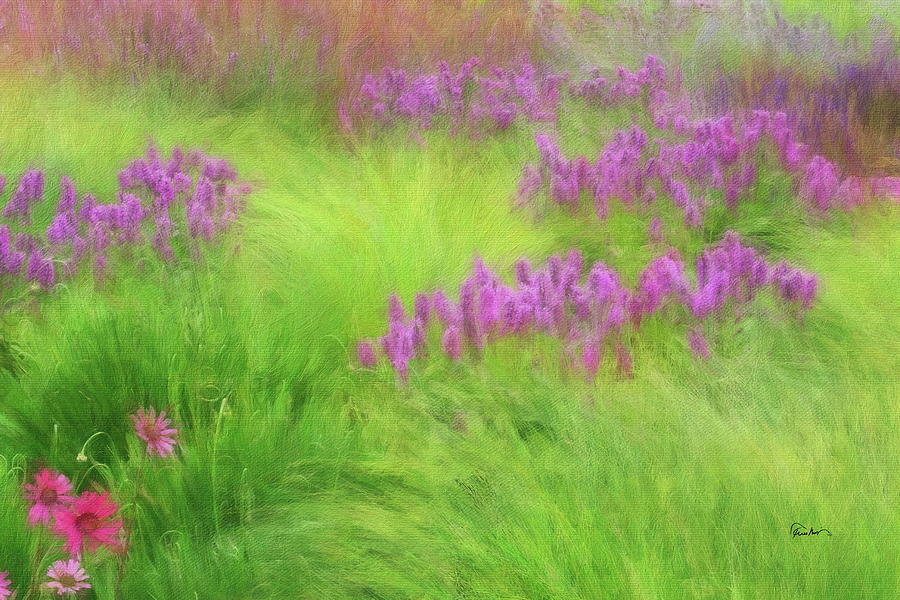 Wild Lilac Spires in Tall Grass Digital Art by Russ Harris