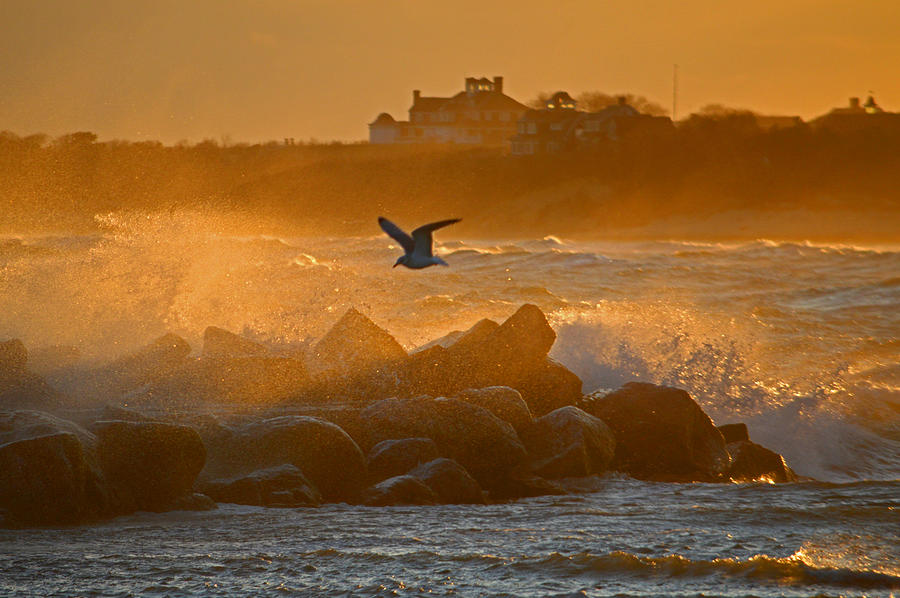 Wild Morning on Cape Cod Bay Photograph by Dianne Cowen Cape Cod Photography