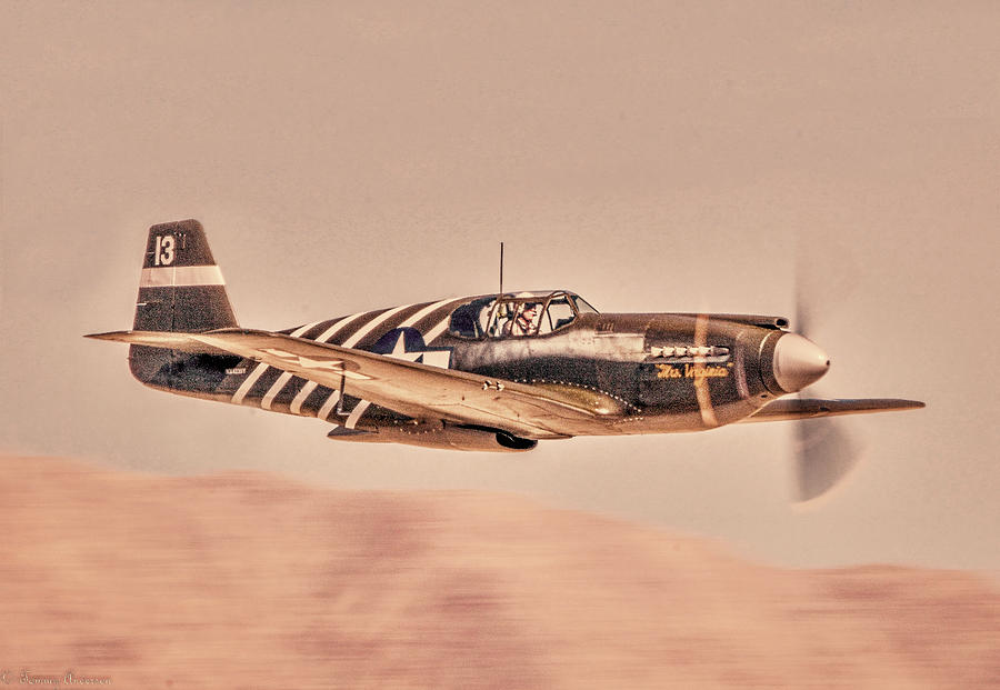 Wild Mustang - Vintage look Photograph by Tommy Anderson