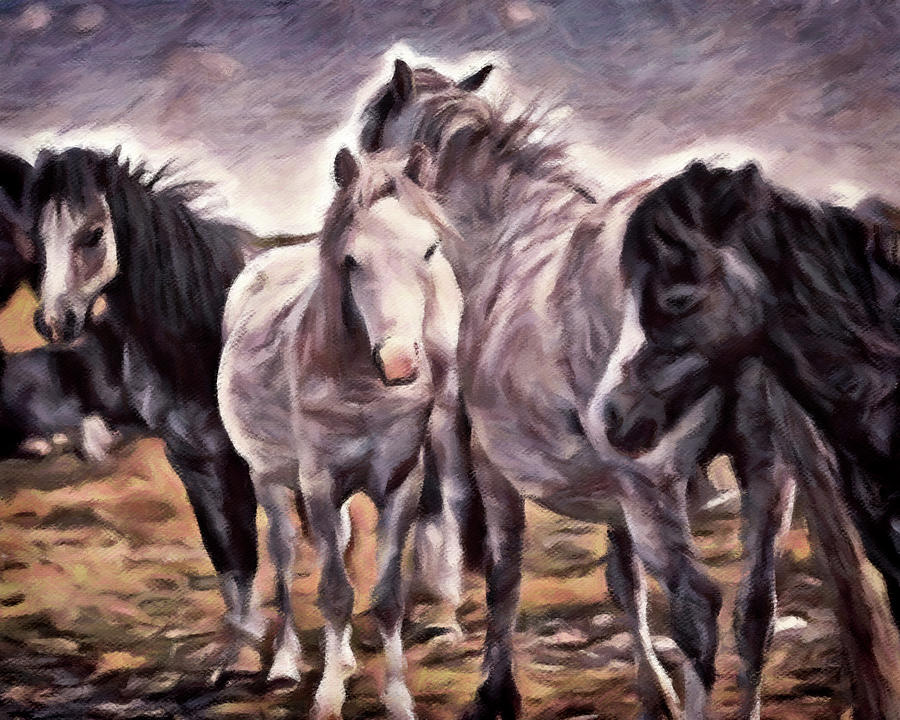 Wild Mustangs Painting by Susan Maxwell Schmidt