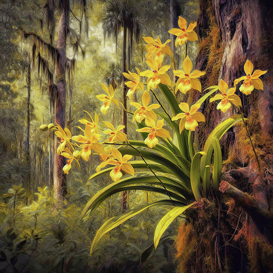 Wild Orchids In The Woods Digital Art by HH Photography of Florida