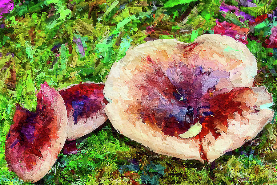 Wild Pavement Mushrooms in nature Mixed Media by Tatiana Travelways