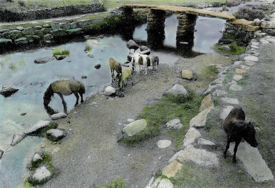 Wild Ponies Under the Bridge in Wales Photograph by Wayne King