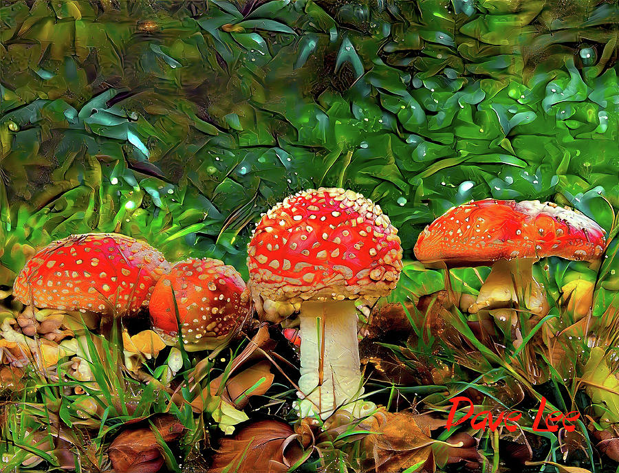 Wild Red Shrooms Digital Art by Dave Lee