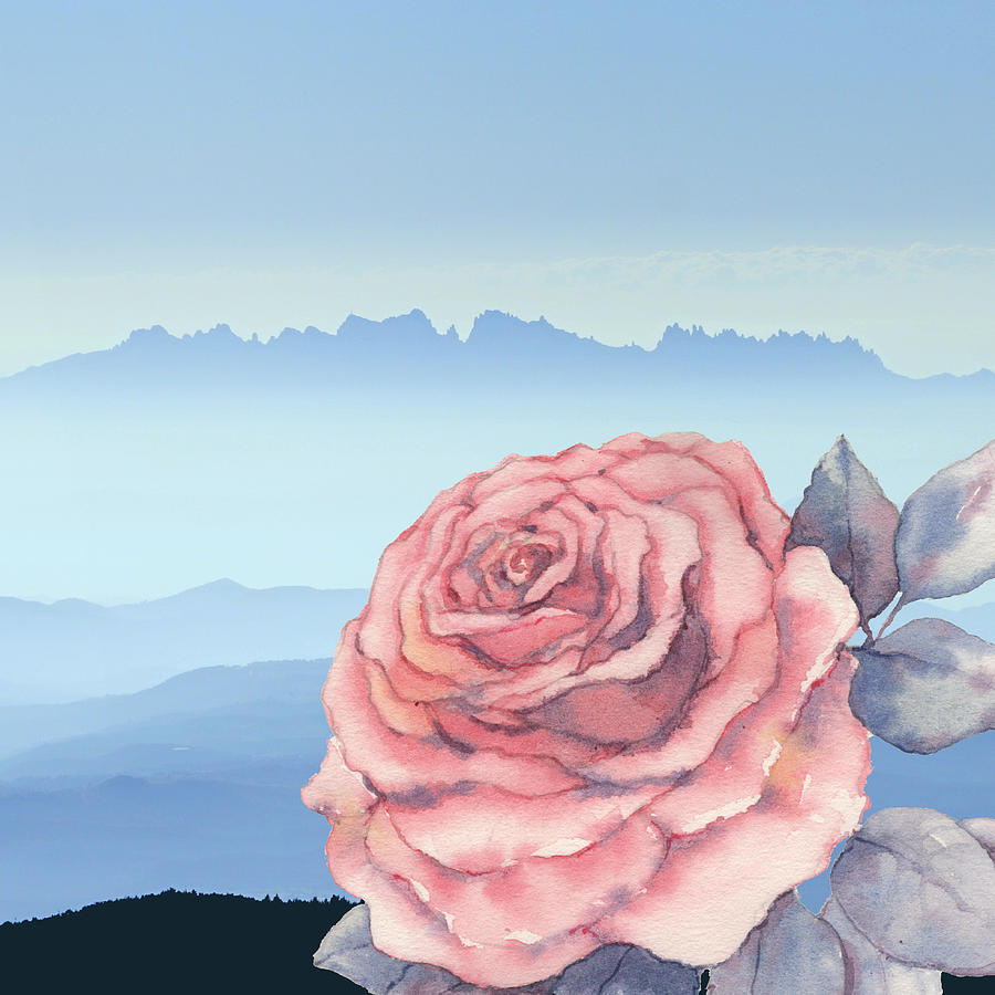Wild Rose Digital Art by Caterina Christakos