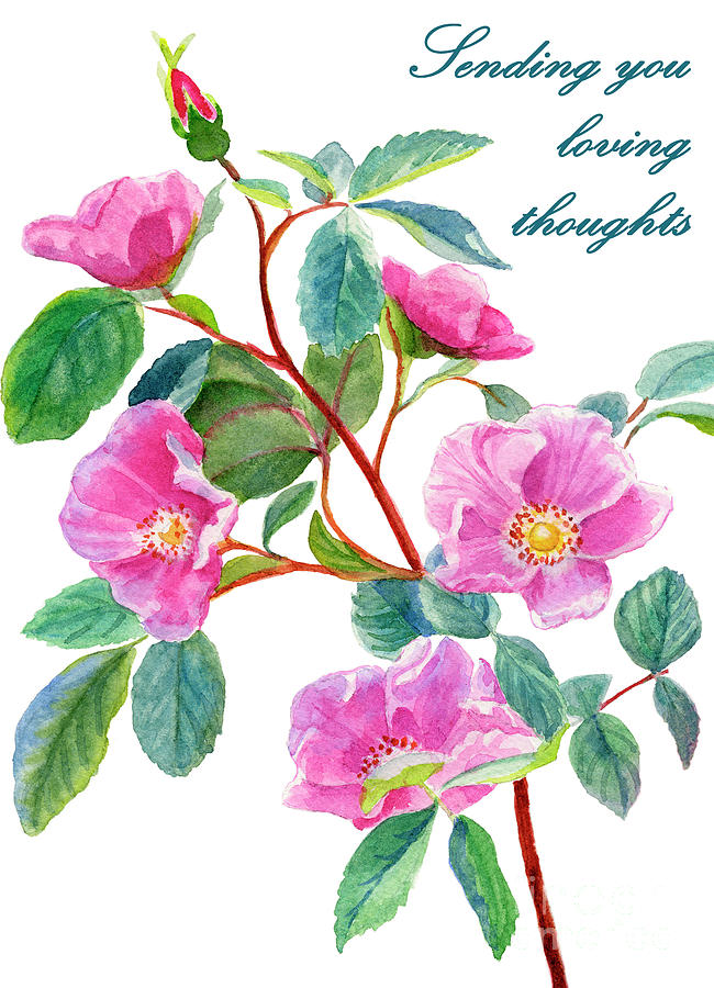 Wild Rose sympathy card 1 Painting by Sharon Freeman