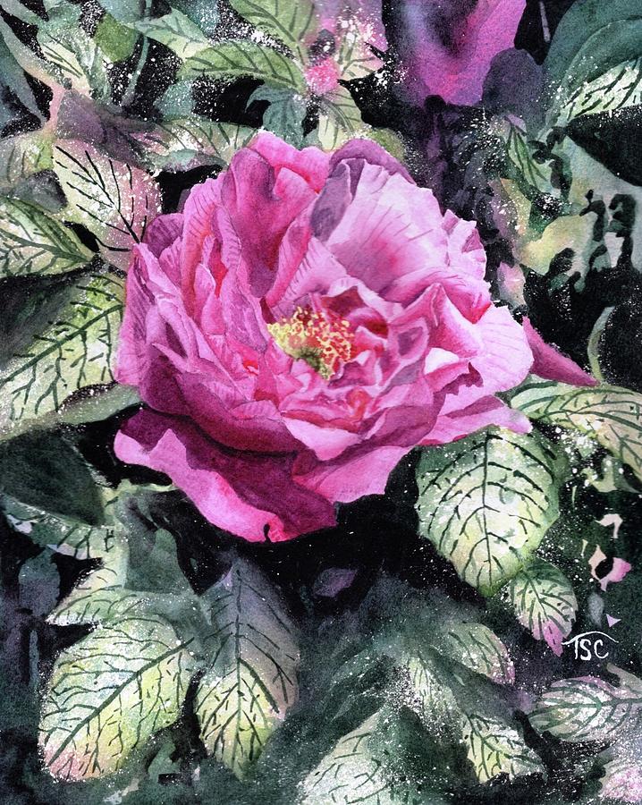 Wild Rose Painting by Tammy Crawford