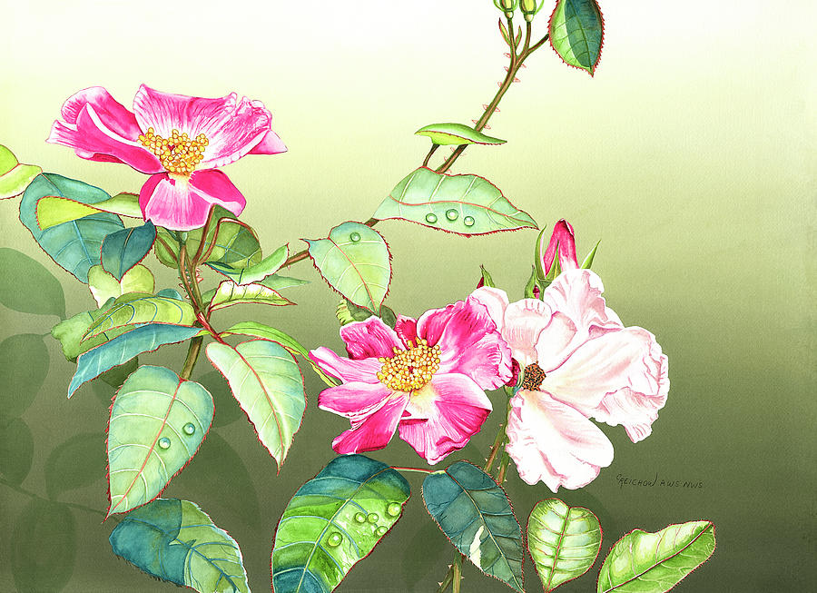 Wild Roses Painting by Christine Reichow - Fine Art America