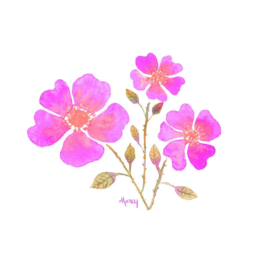 Wild Roses in Hot Pink Digital Art by Marcy Brennan