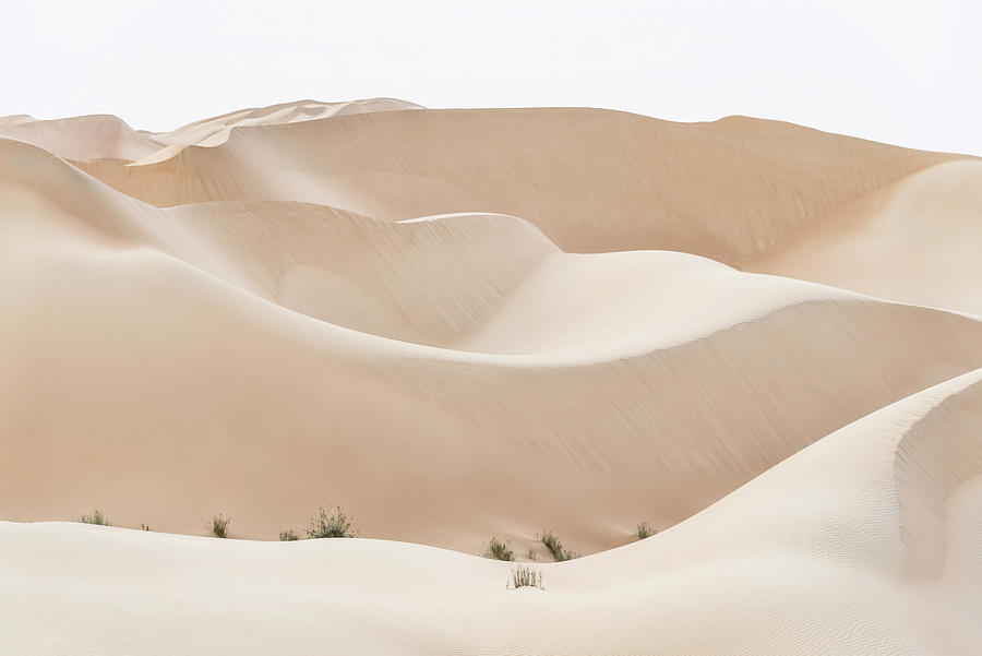 Wild Sand Dunes - Almond Desert Photograph by Philippe HUGONNARD
