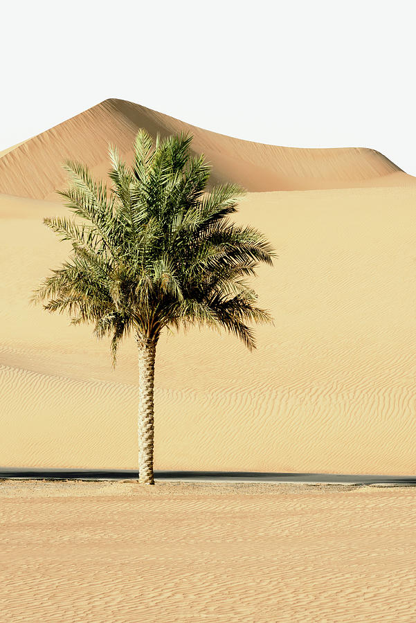Wild Sand Dunes - Alone in the World Photograph by Philippe HUGONNARD