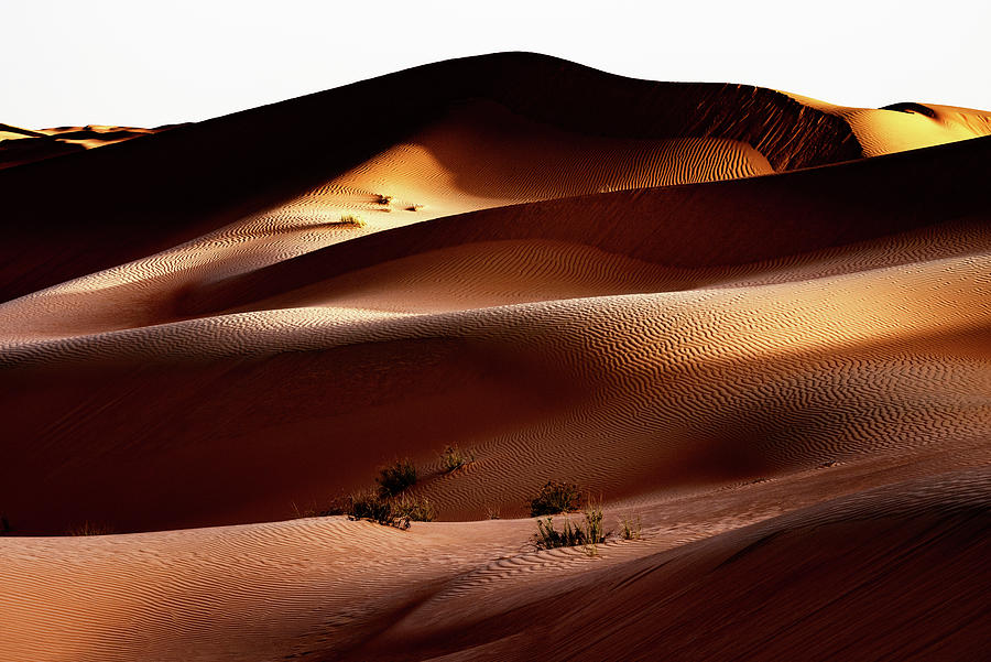 Wild Sand Dunes - Between Shadow and Light Photograph by Philippe HUGONNARD