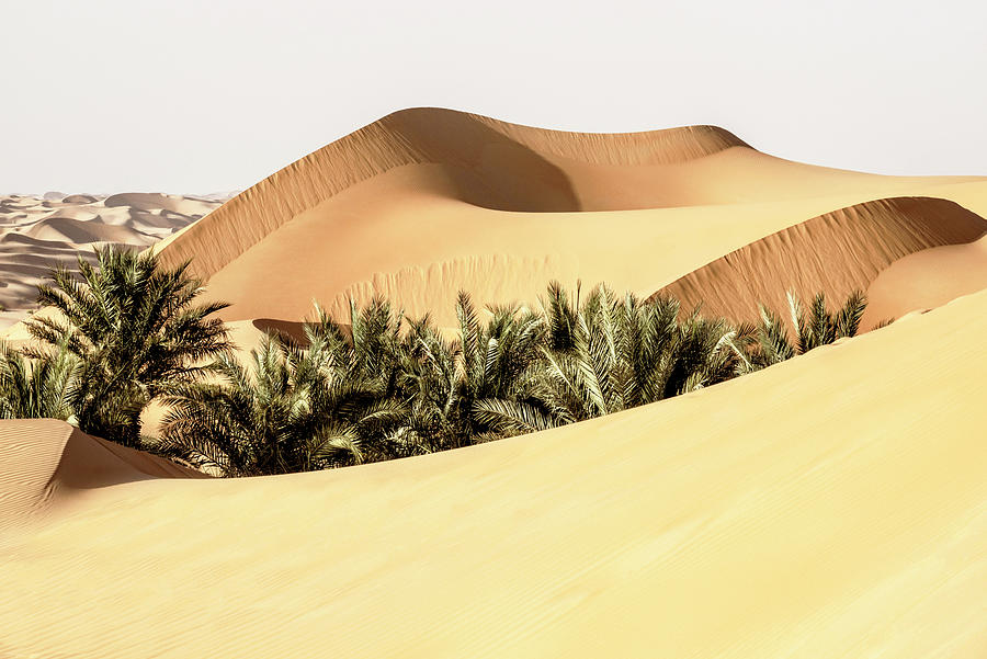 Wild Sand Dunes - Between Two Photograph by Philippe HUGONNARD