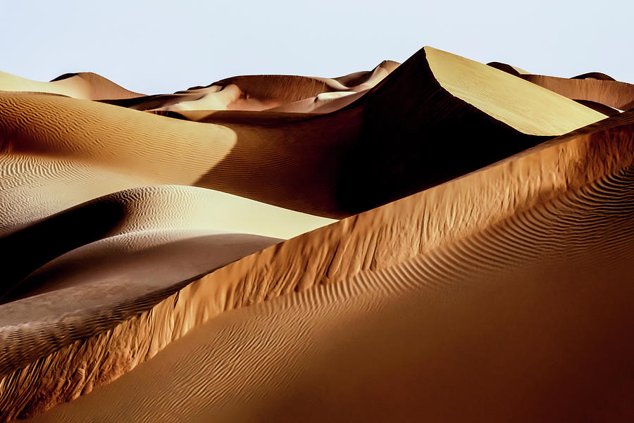 Wild Sand Dunes - Bronze Desert Photograph by Philippe HUGONNARD