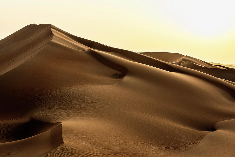 Wild Sand Dunes - Bronze Sunset Photograph by Philippe HUGONNARD