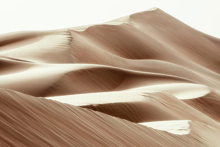 Wild Sand Dunes - Burnt Umber Photograph by Philippe HUGONNARD