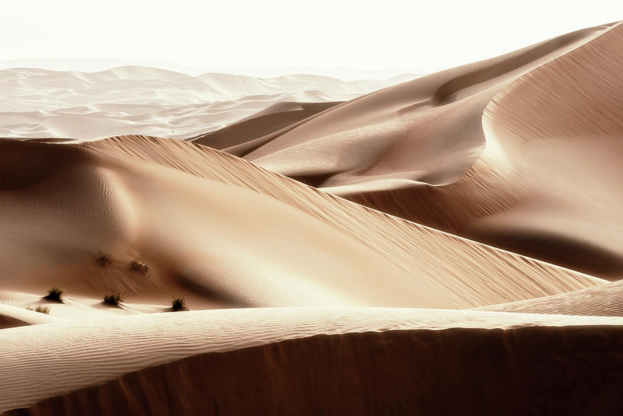 Wild Sand Dunes - Camel Desert Photograph by Philippe HUGONNARD