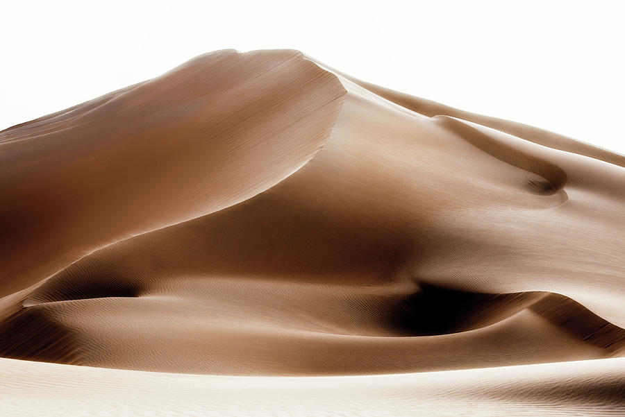 Wild Sand Dunes - Chamoisee Desert Photograph by Philippe HUGONNARD