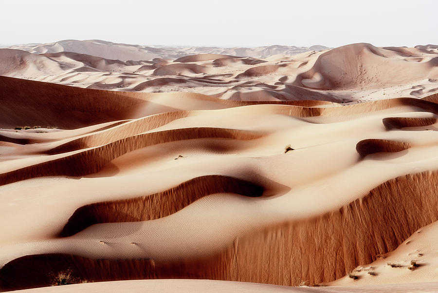 Wild Sand Dunes - Deep Peach Desert Photograph by Philippe HUGONNARD