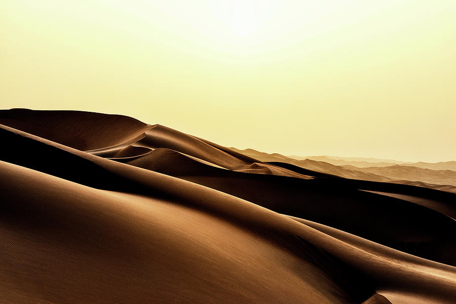 Wild Sand Dunes - Desert Sunset Photograph by Philippe HUGONNARD