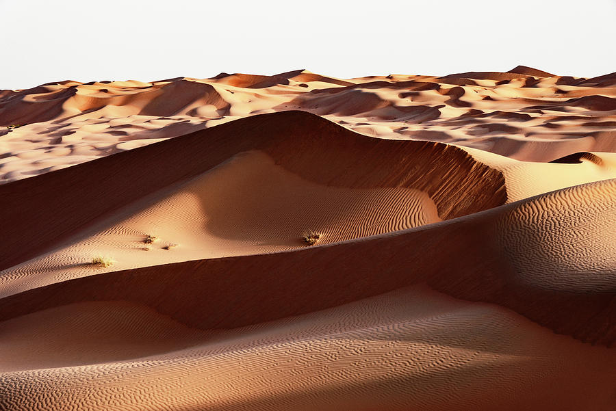 Wild Sand Dunes - Desert Sunshine Photograph by Philippe HUGONNARD