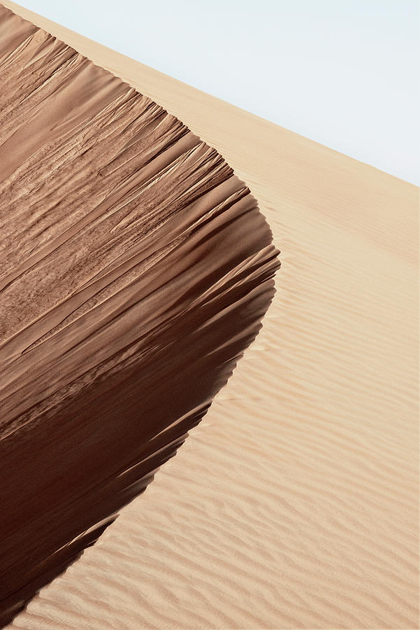 Wild Sand Dunes - Desert Wave Photograph by Philippe HUGONNARD