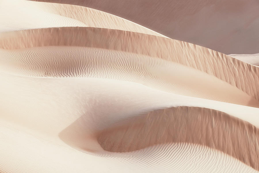 Wild Sand Dunes - Drift Photograph by Philippe HUGONNARD