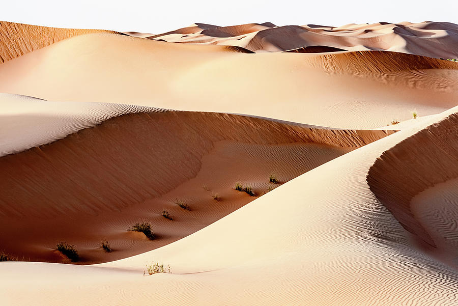 Wild Sand Dunes - Game of Light Photograph by Philippe HUGONNARD