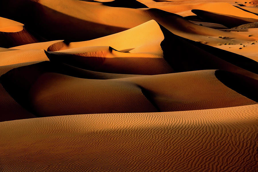 Nature Photograph - Wild Sand Dunes - Heat Light by Philippe HUGONNARD