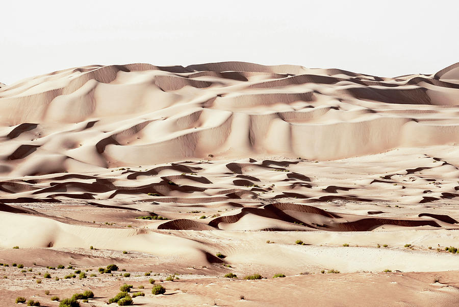 Wild Sand Dunes - Khaki Desert Photograph by Philippe HUGONNARD