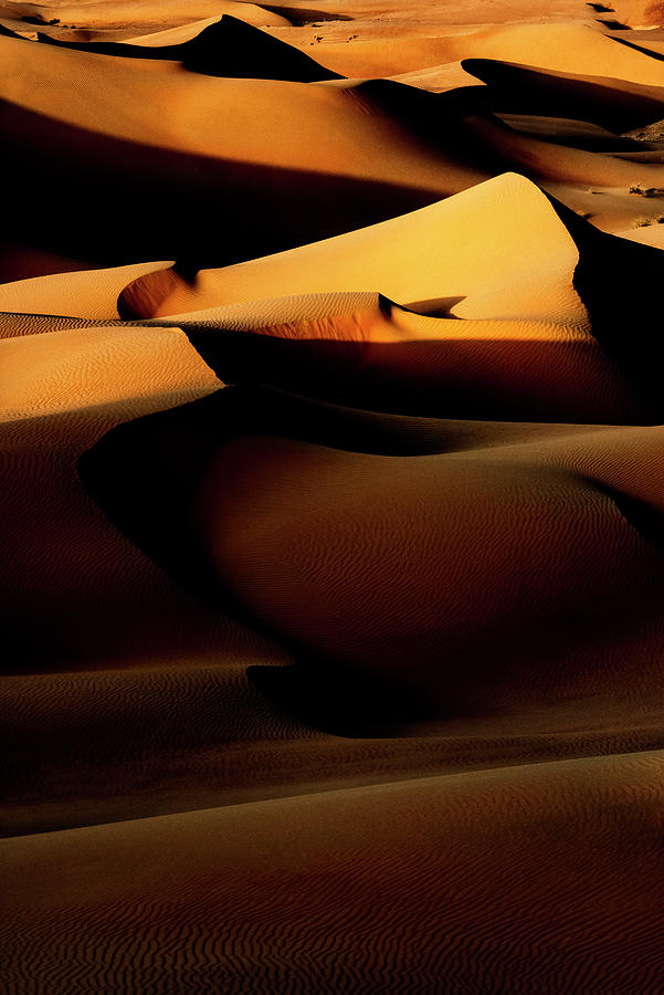 Wild Sand Dunes - Last Rays Photograph by Philippe HUGONNARD